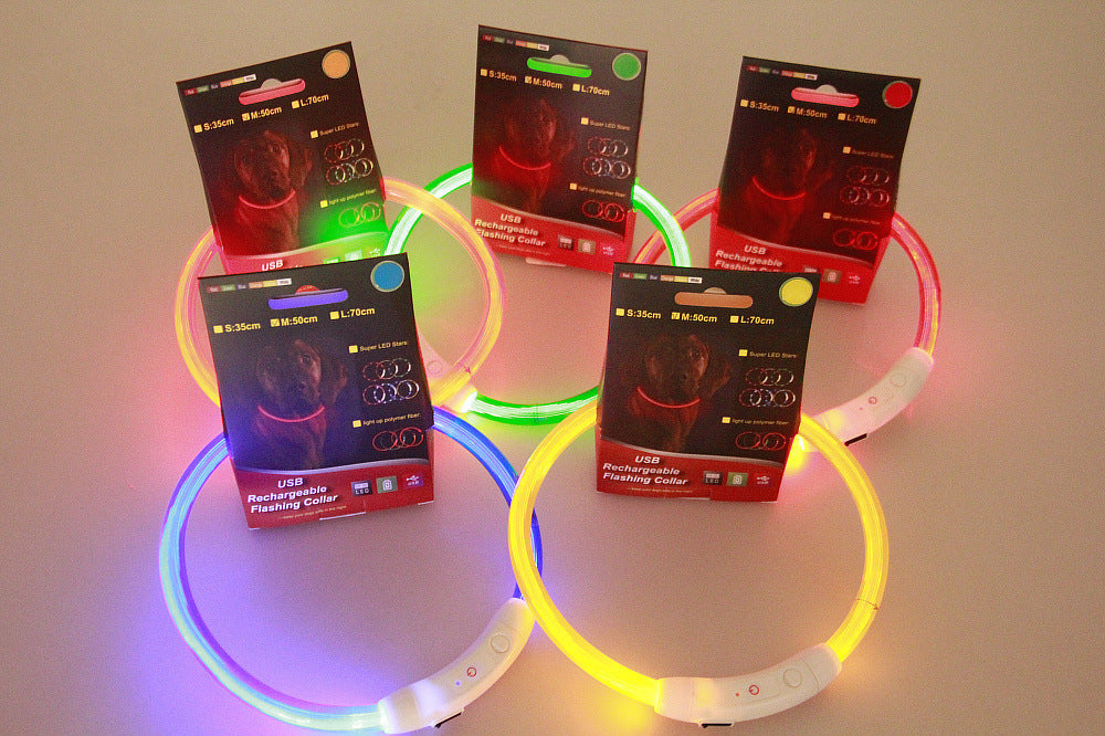 Light Up Dog Collar for Night Walking