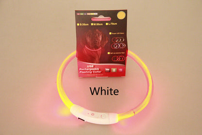 Light Up Dog Collar for Night Walking