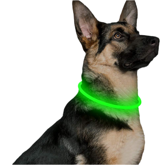 Light Up Dog Collar for Night Walking