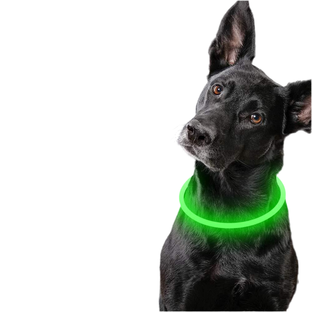 Light Up Dog Collar for Night Walking