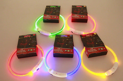 Light Up Dog Collar for Night Walking